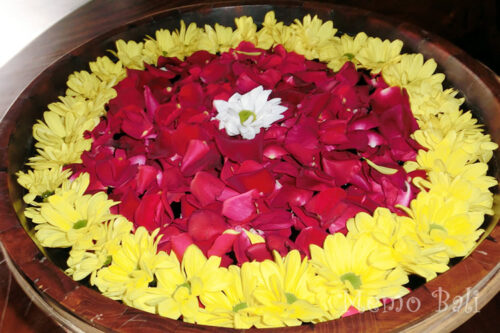 バリ島「花」Memo Bali