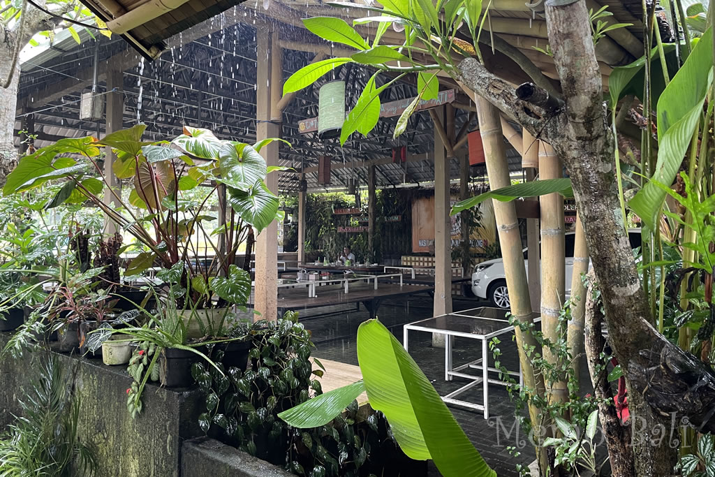 バリ島「SAMSAM NANG BAGONG 89（サムサムナンバゴン89）」Memo Bali