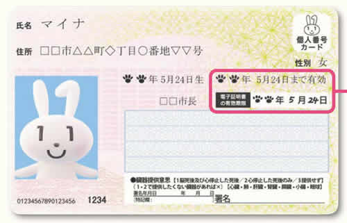 マイナンバー更新